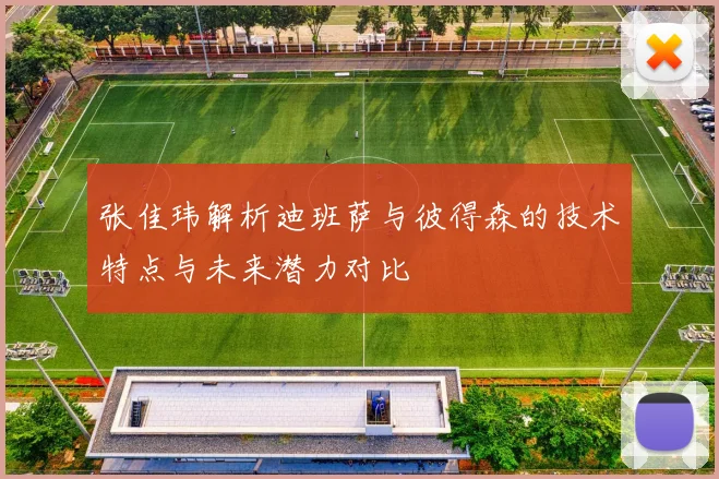 张佳玮解析迪班萨与彼得森的技术特点与未来潜力对比