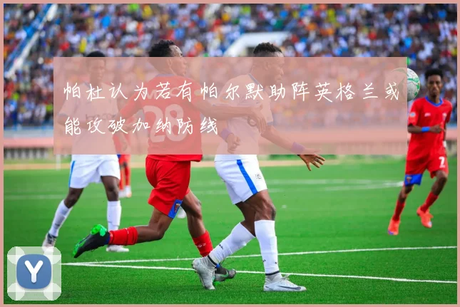 帕杜认为若有帕尔默助阵英格兰或能攻破加纳防线